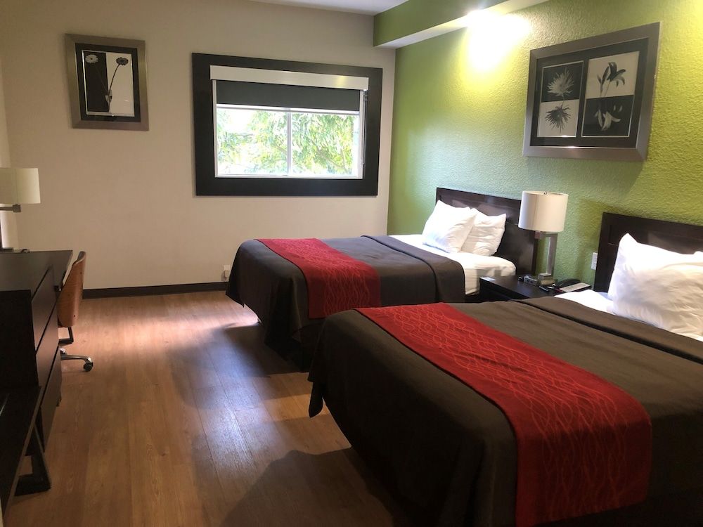 Room, 2 Queen Beds