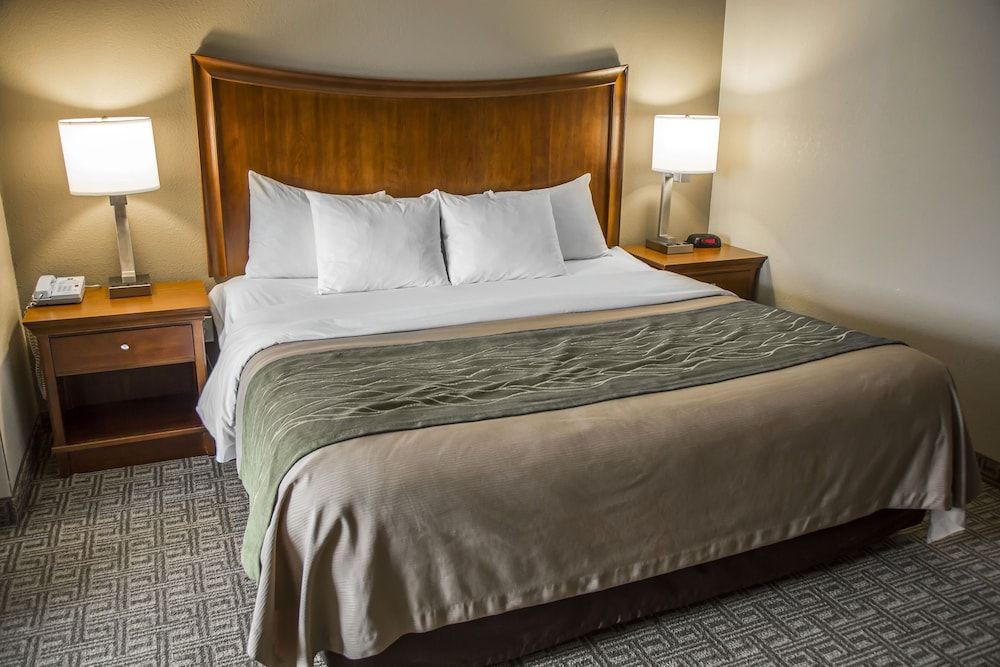 Standard Room, 1 King Bed with Sofa bed