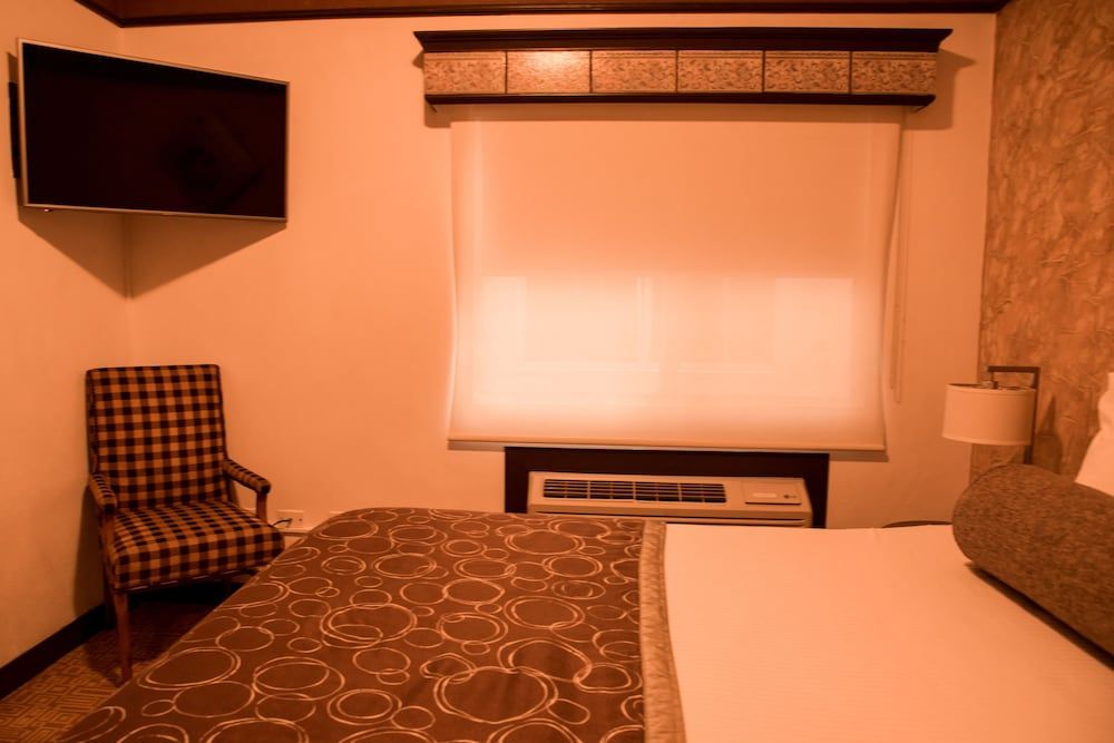 Maria Bonita Business Hotel & Suites Luxury Suite, 1 Double Bed with Sofa bed, Kitchenette 6