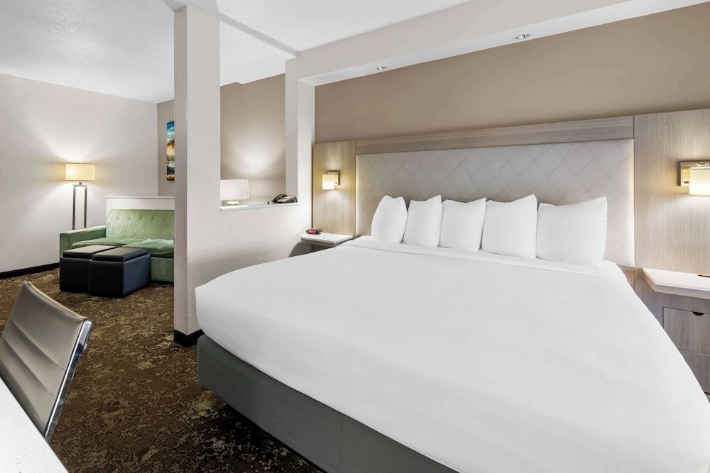 Standard Room, 1 King Bed, Accessible, Refrigerator