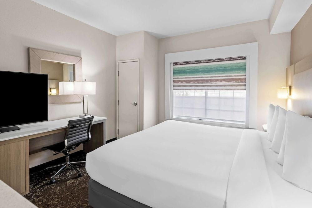 Suite, 1 King Bed, Non Smoking, Refrigerator & Microwave (with Sofabed)