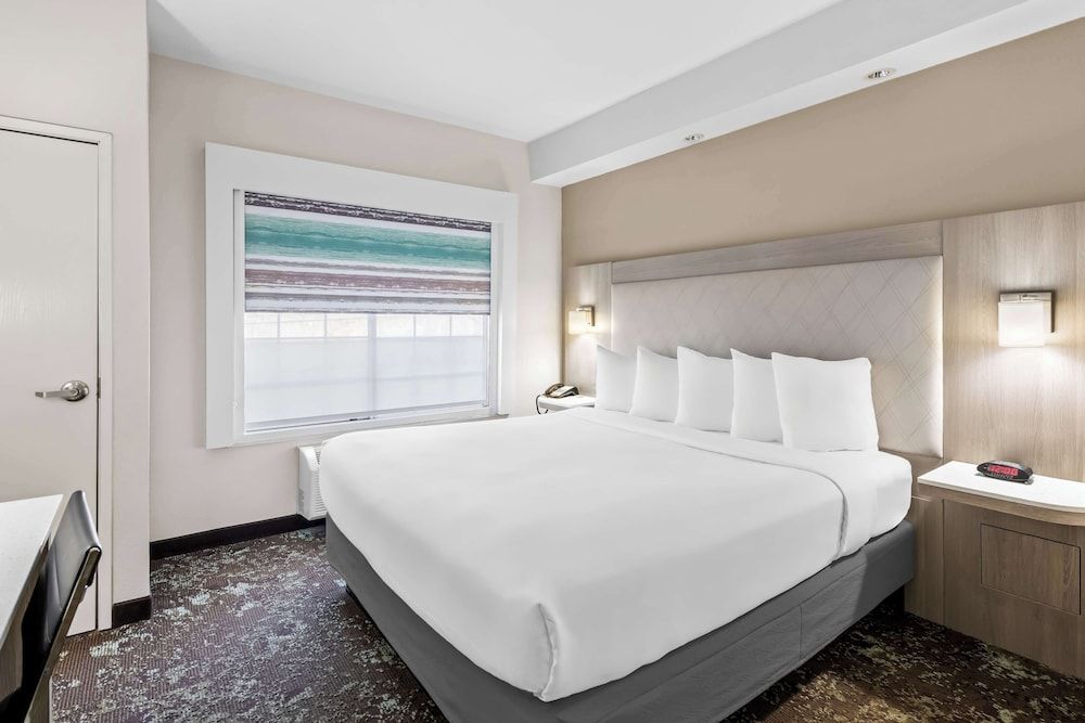 Suite, 1 King Bed, Non Smoking, Refrigerator & Microwave (with Sofabed)