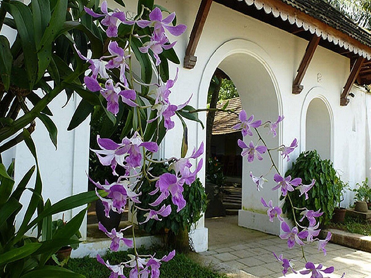 undefined Fort House  Hotel 10