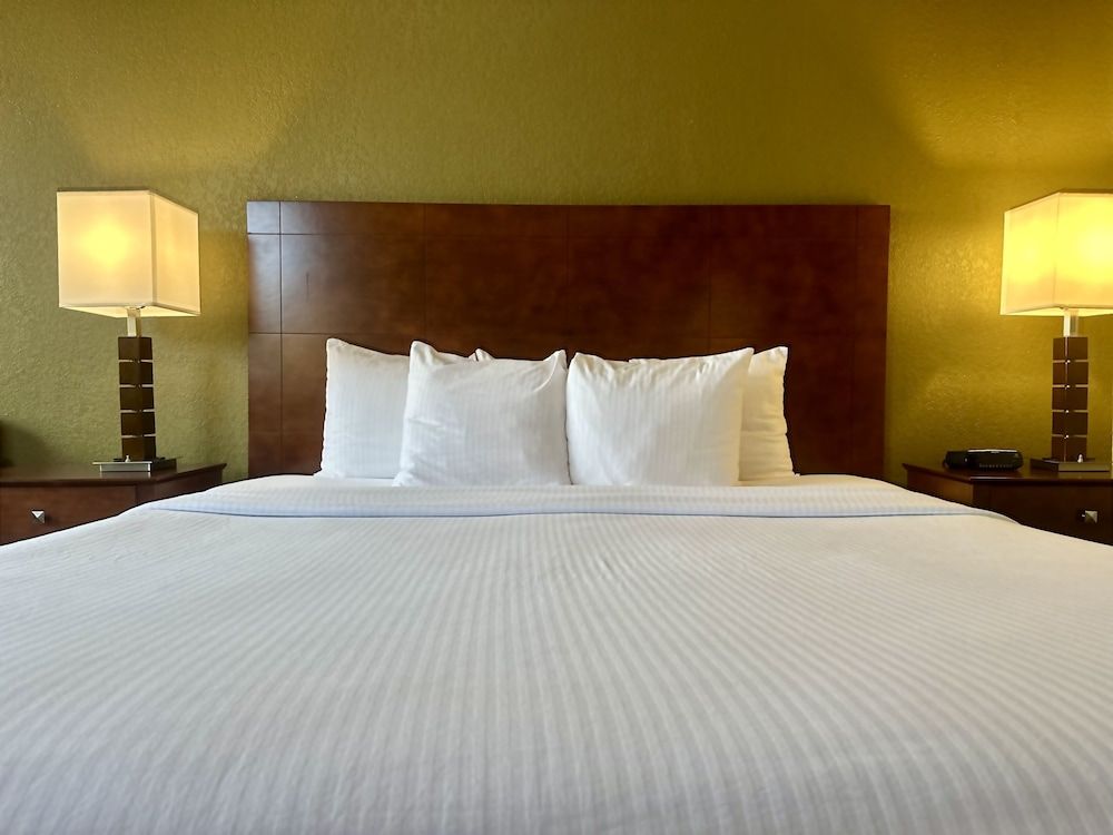 Best Western Executive Inn Kenosha/Pleasant Prairie Standard Room, 1 King Bed, Non Smoking, Refrigerator & Microwave 2