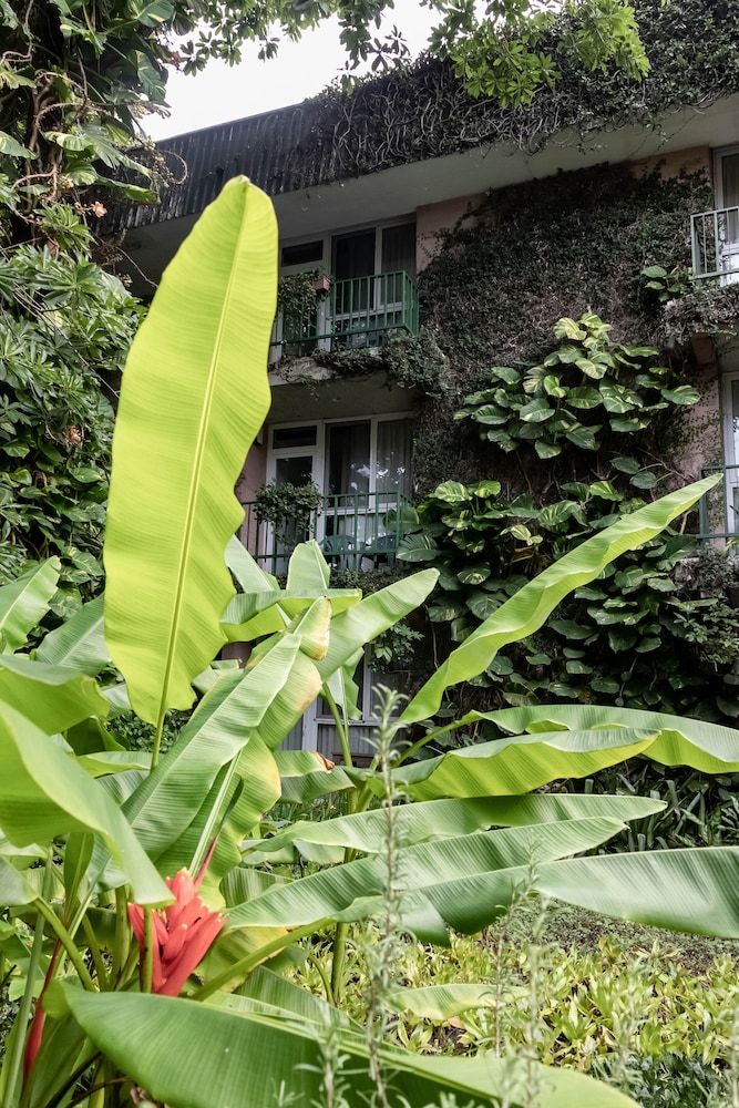 undefined Novo Hotel & Suite 4