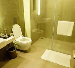 SUITE ROOM WASHROOM ATTACHED