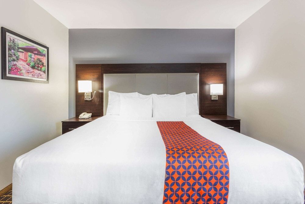Room, 1 King Bed, Accessible, Non Smoking (Mobility Accessible)