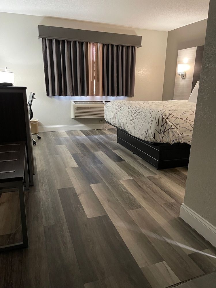 Standard Room, 1 King Bed, Handicap, Non Smoking