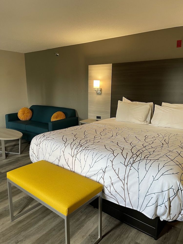 Premier Suite, 1 King Bed with Sofa bed, Whirl pool, Fireplace, Non Smoking