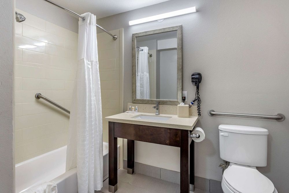Suite, 1 King Bed with Sofa bed, Accessible, Non Smoking