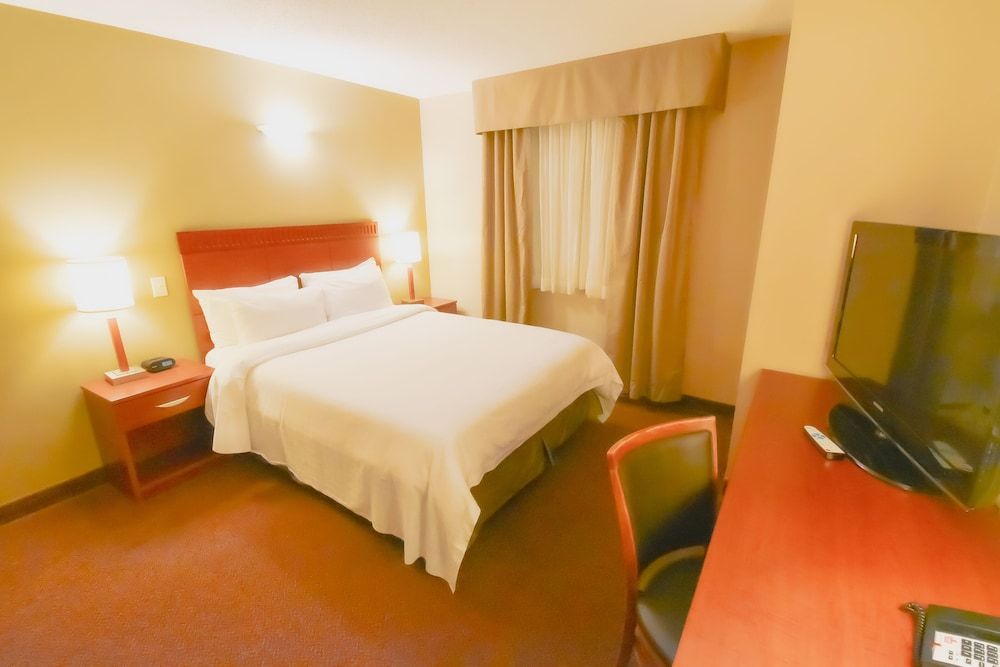 Business Suite