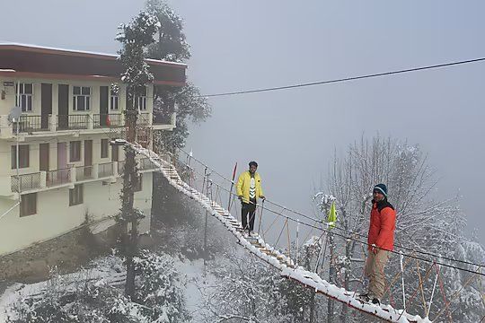 undefined The Groove garden 9