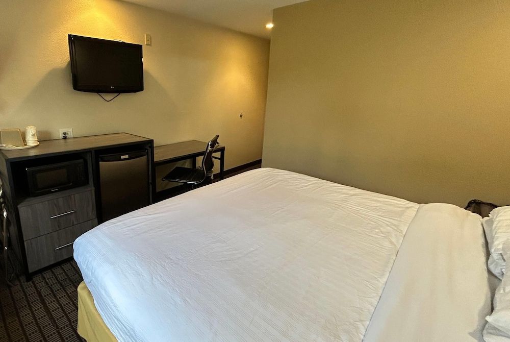 Suite, 1 Queen Bed
