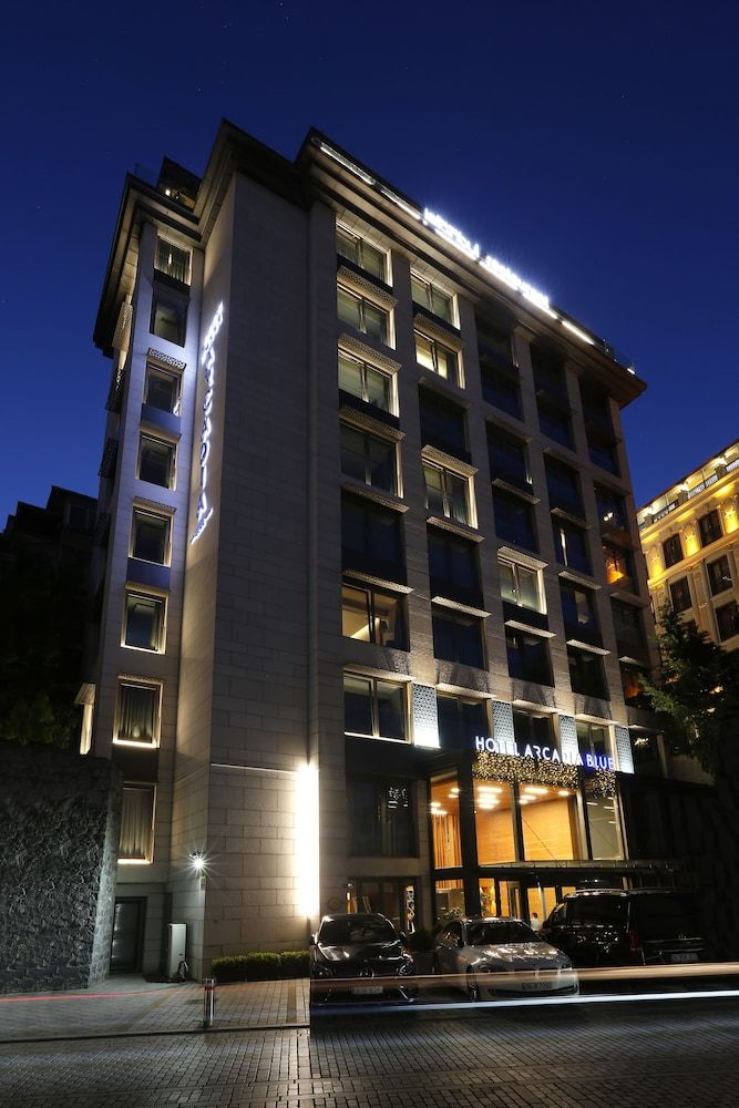 undefined Hotel Arcadia Blue Istanbul 9