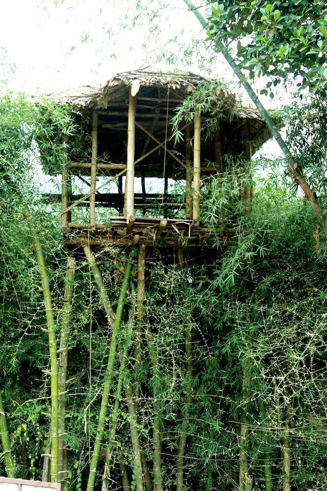 undefined Moon hill munnar 7