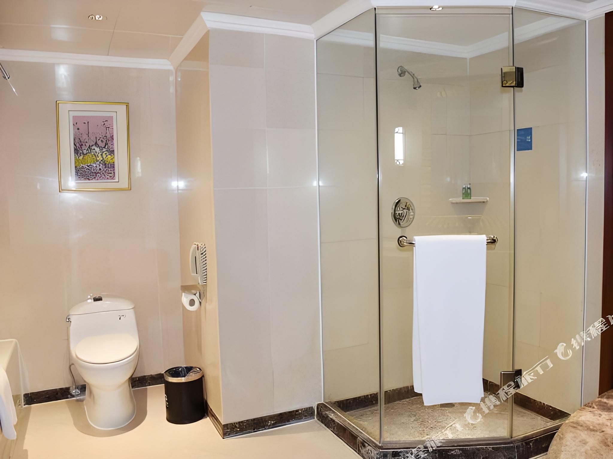 Studio Suite