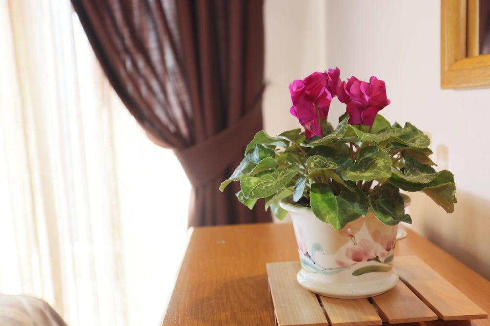 Aegeon Hotel Special Offer - Double or Twin Room 14