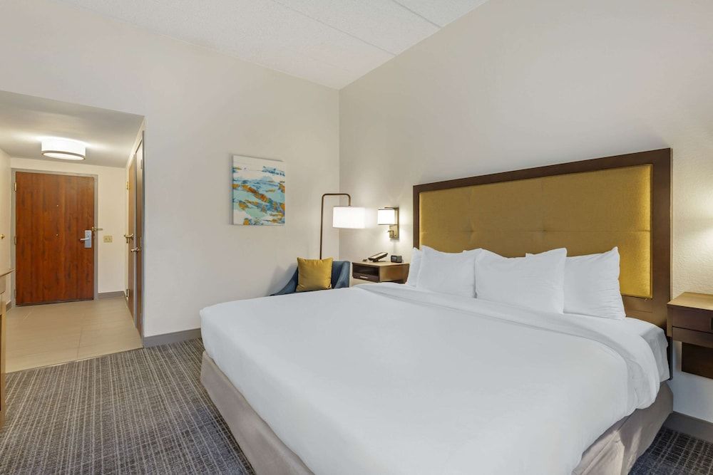 Standard Room, 1 King Bed, Non Smoking
