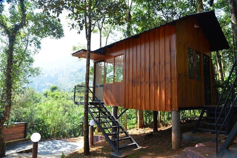 undefined Jungle Beats Resort 6