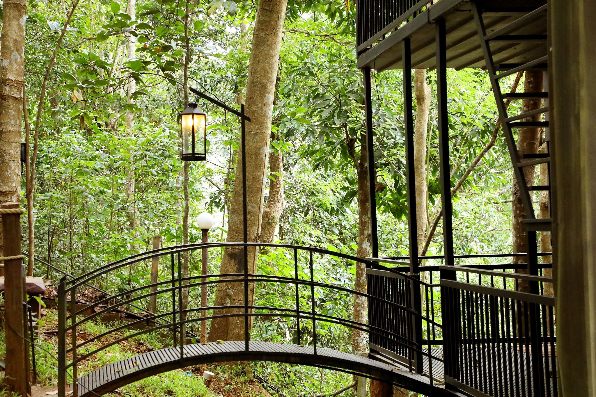 undefined Jungle Beats Resort 10