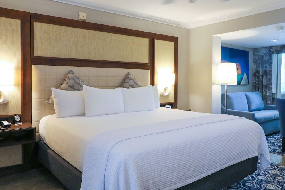 Suite, 1 King Bed with Sofa bed