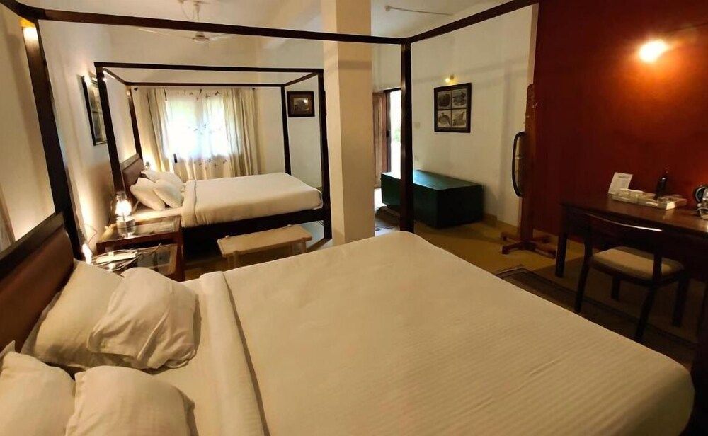 Bagh Tola, Bandhavgarh Tiger Reserve