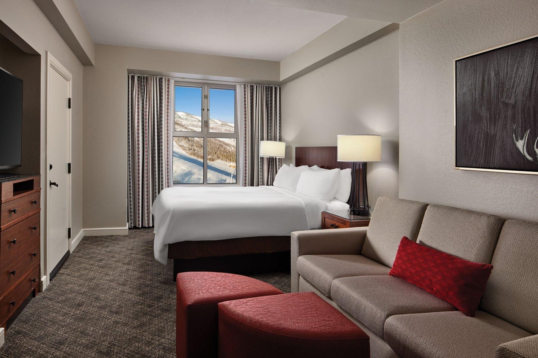 Guest room, King, Sofa bed