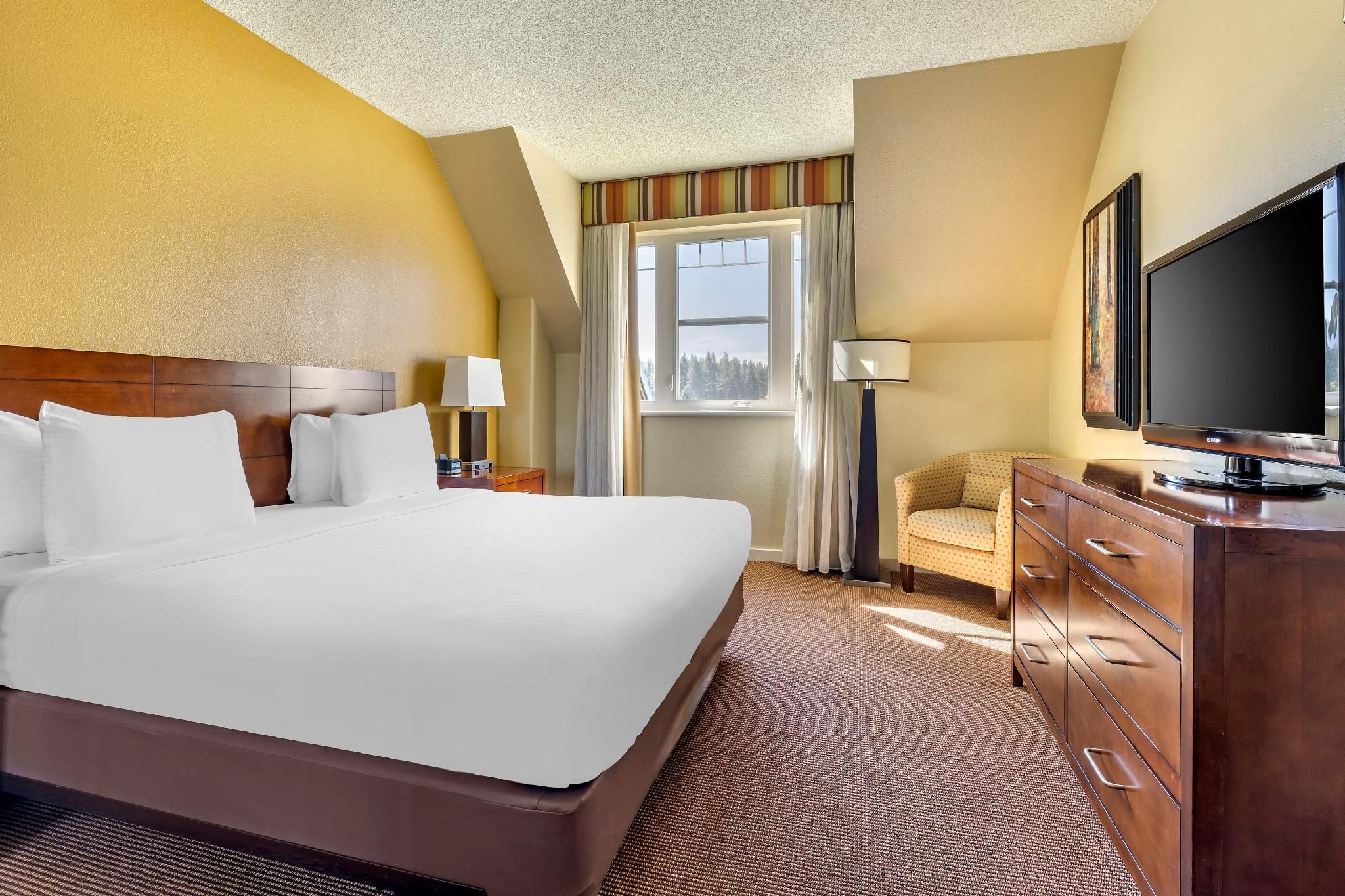 1 BEDROOM 1 KING SUITE AND SOFABED