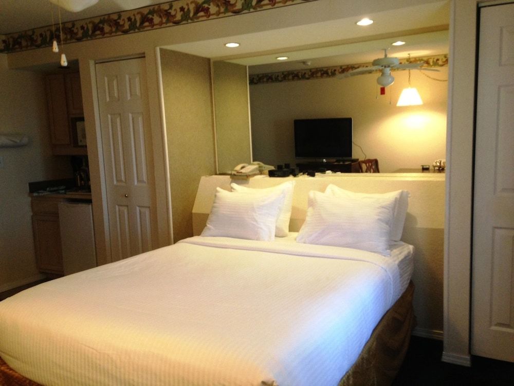 Studio, 1 Queen Bed