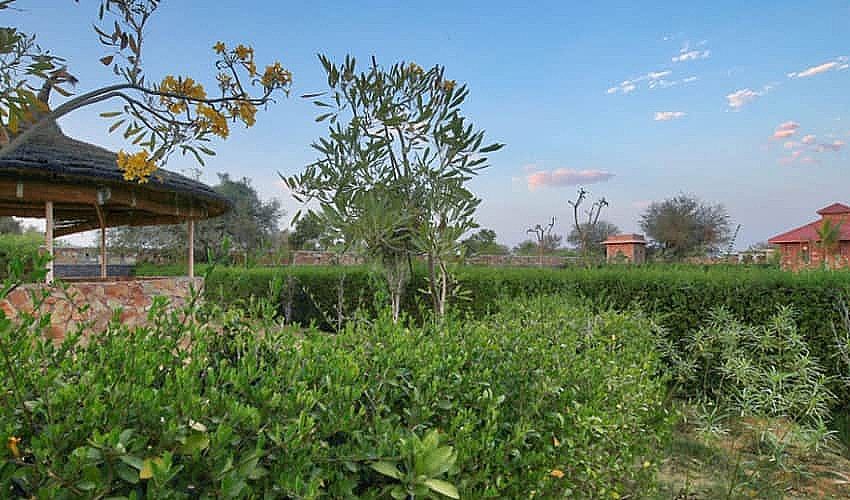Farm