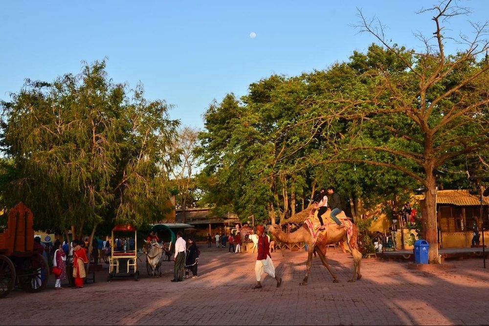 Children's activities