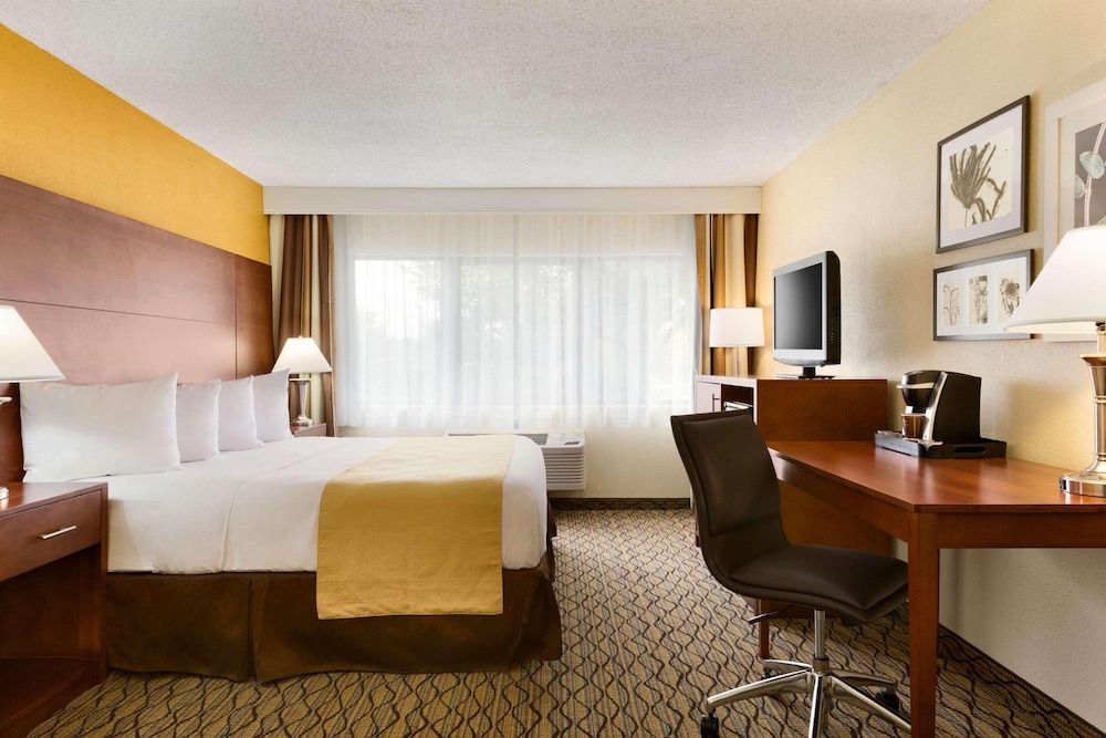 Room, 1 King Bed, Non Smoking