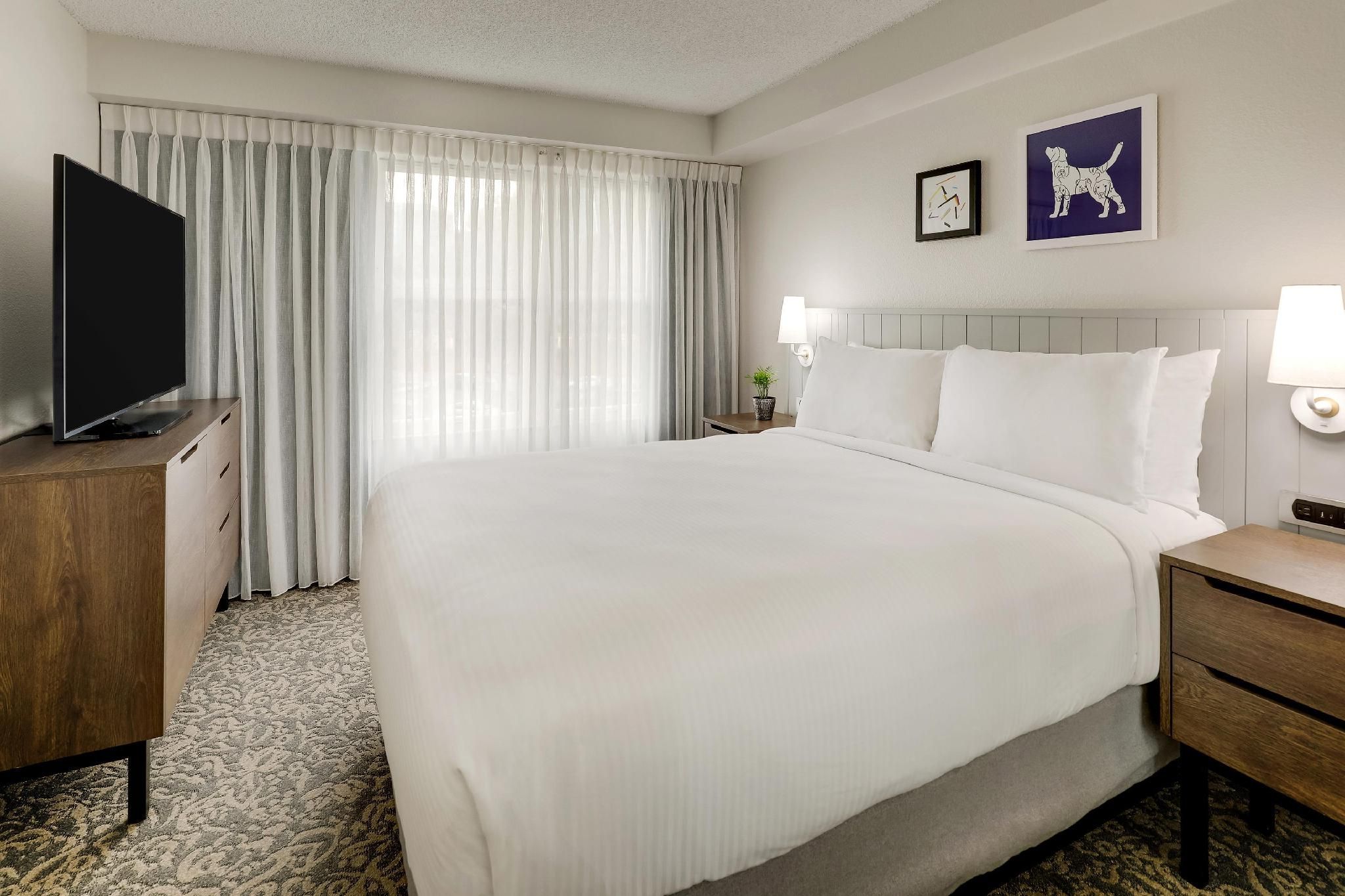undefined Sonesta ES Suites Anaheim Resort Area 7