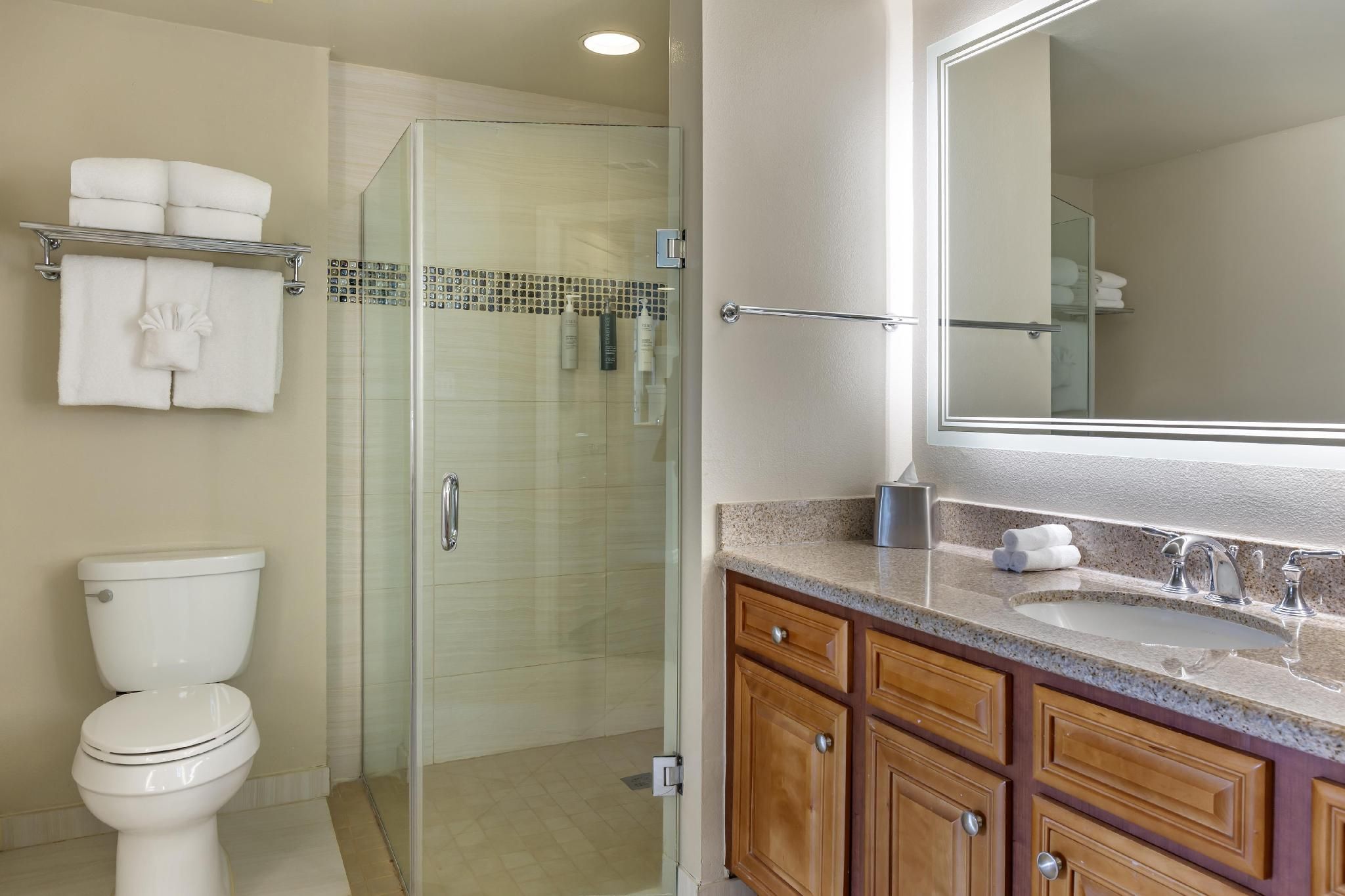 2 BEDROOM 2 KING CONNECTING SUITE AND SOFABED