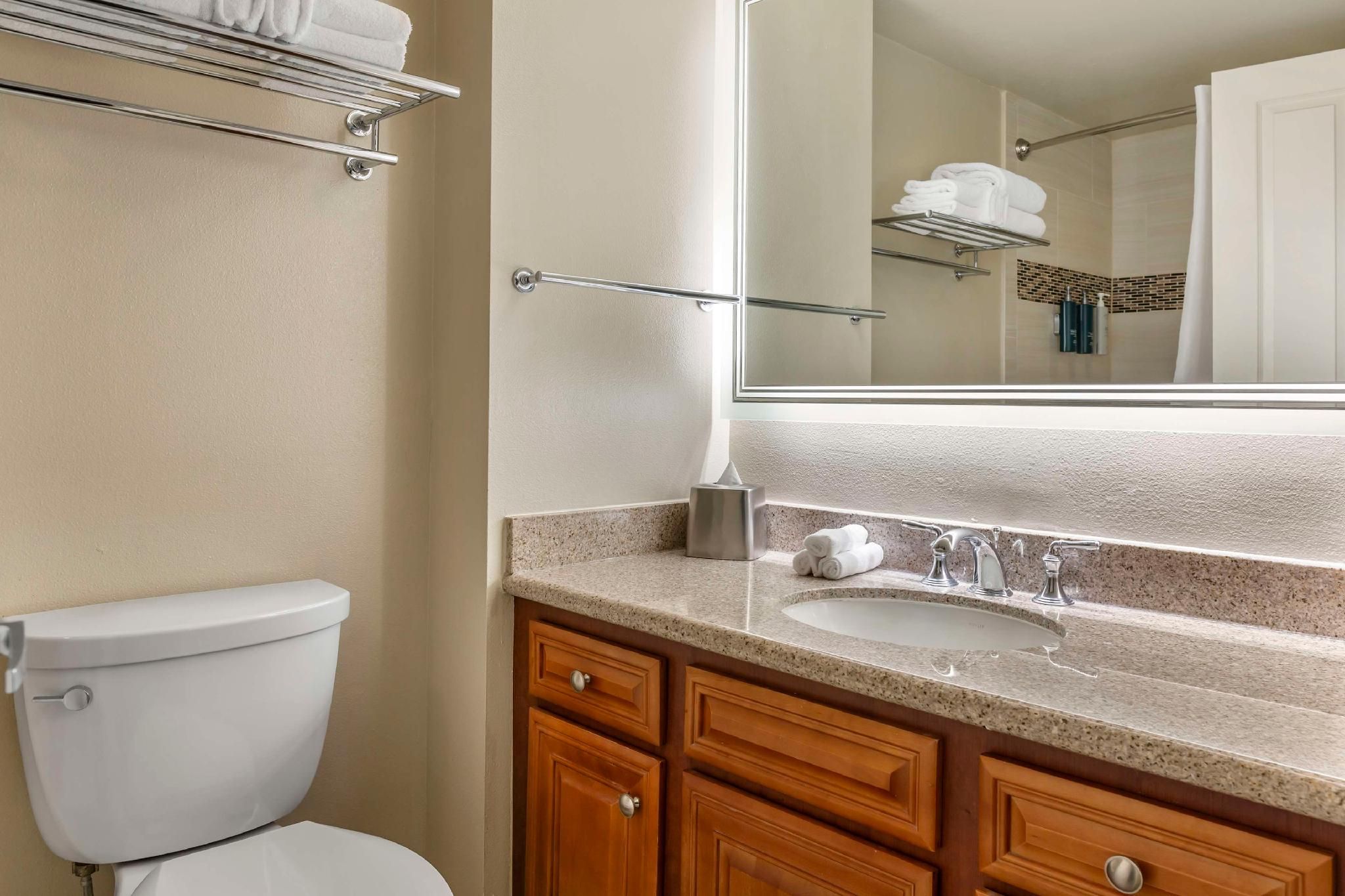 undefined Hilton Grand Vacations Club SeaWorld® Orlando 6