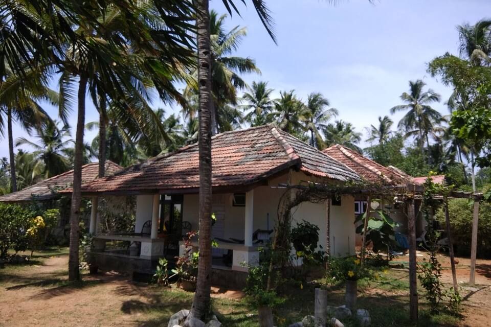 Secondary Image