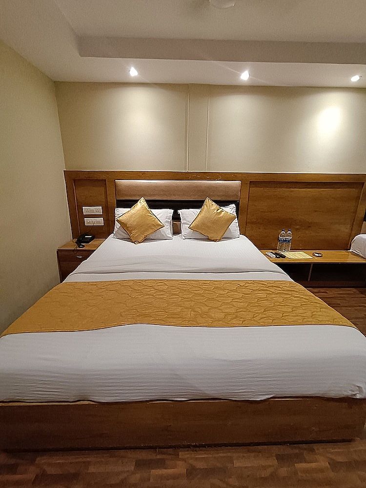 Hotel Rishi International Deluxe Double Room 13
