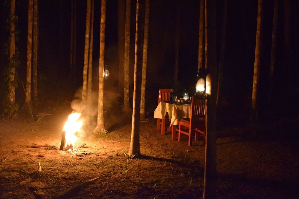 undefined Bowfin Resort 10