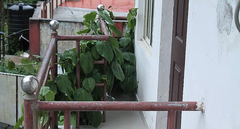 undefined Mas Holidays 2