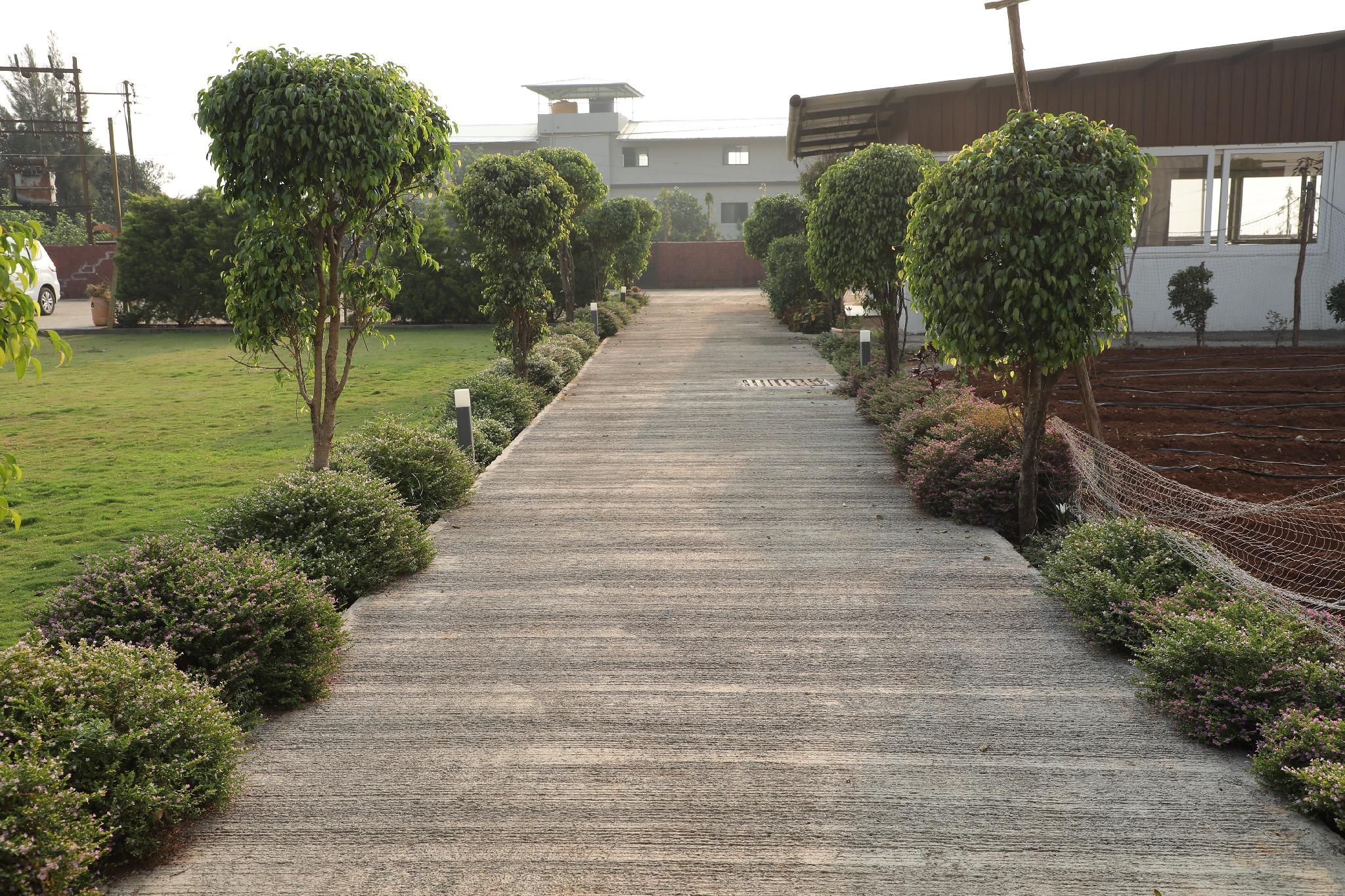 Surrounding environment