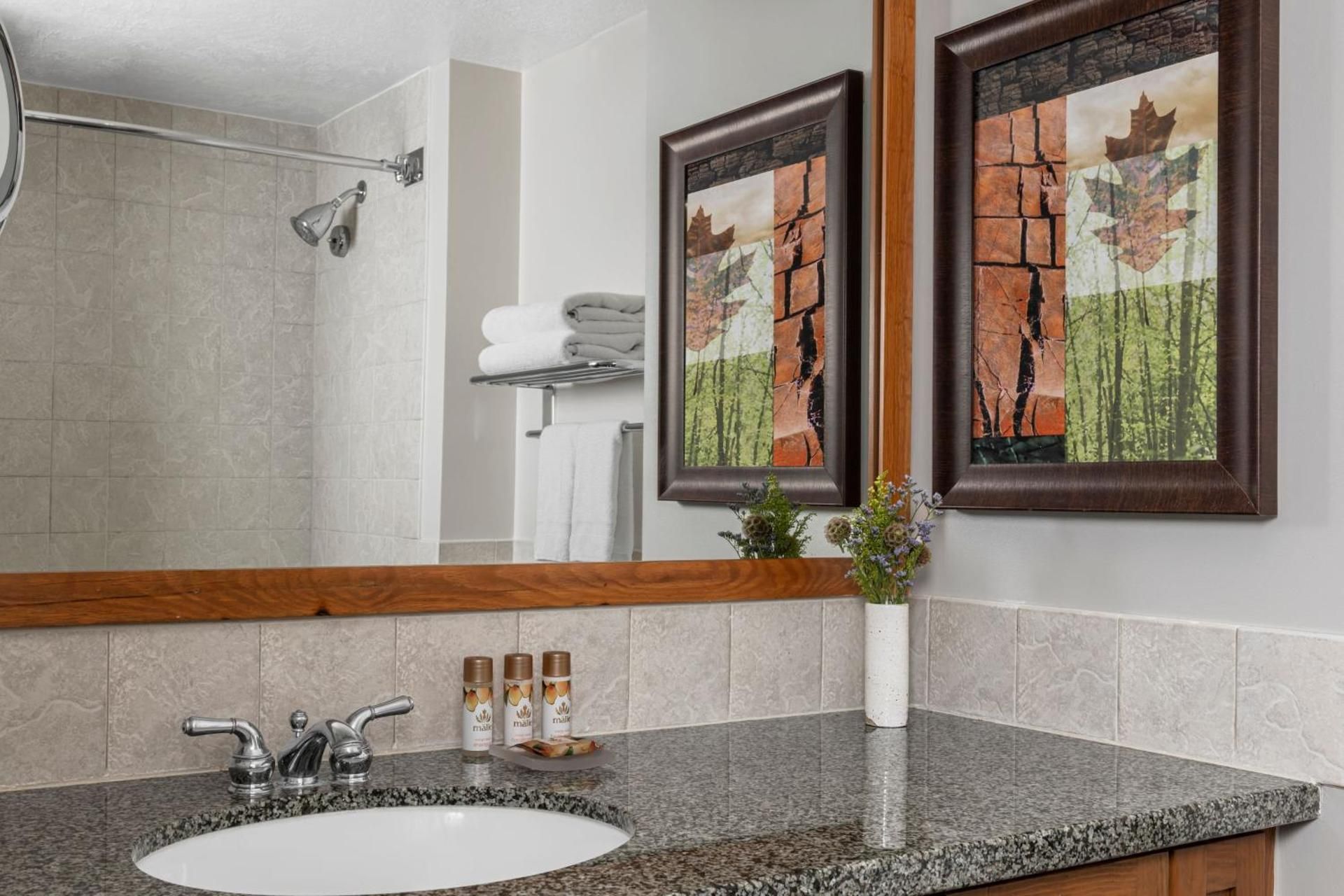 undefined Marriott Grand Residence Club, Lake Tahoe 10