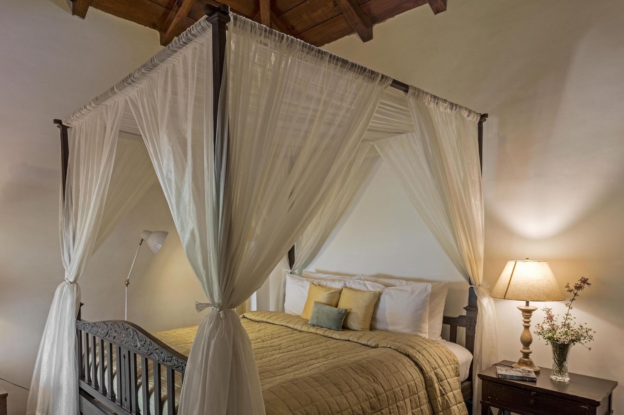 image_3916851_a5bfa15a-3f27-4041-8bcd-2ad61b423597