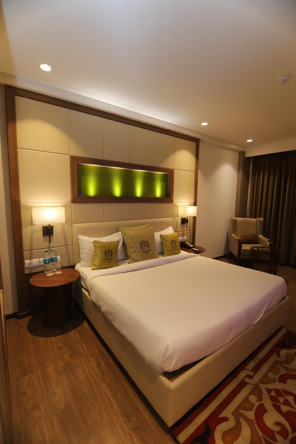 Shree Jee Vilas Executive Room (Lake View) 6