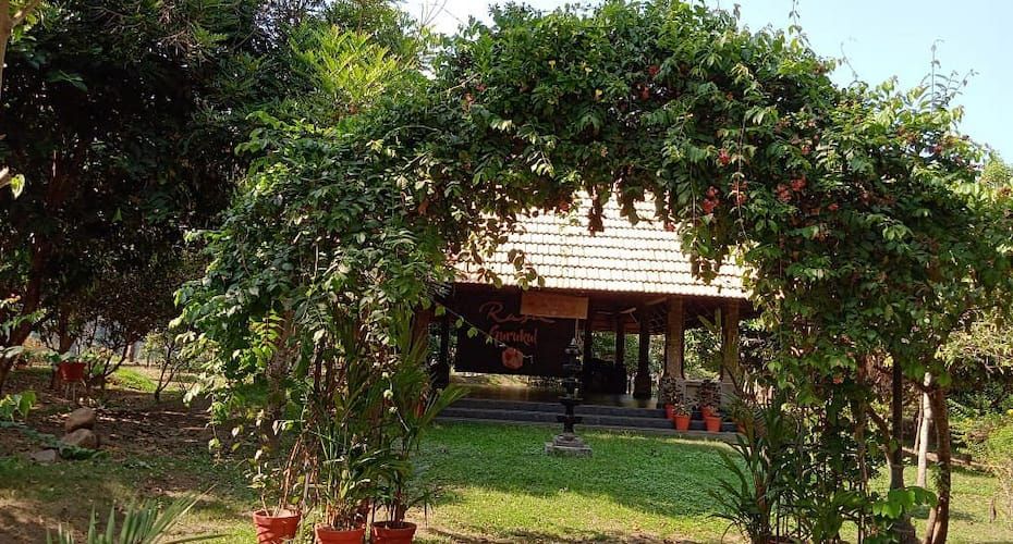 undefined Rasa Gurukul 6