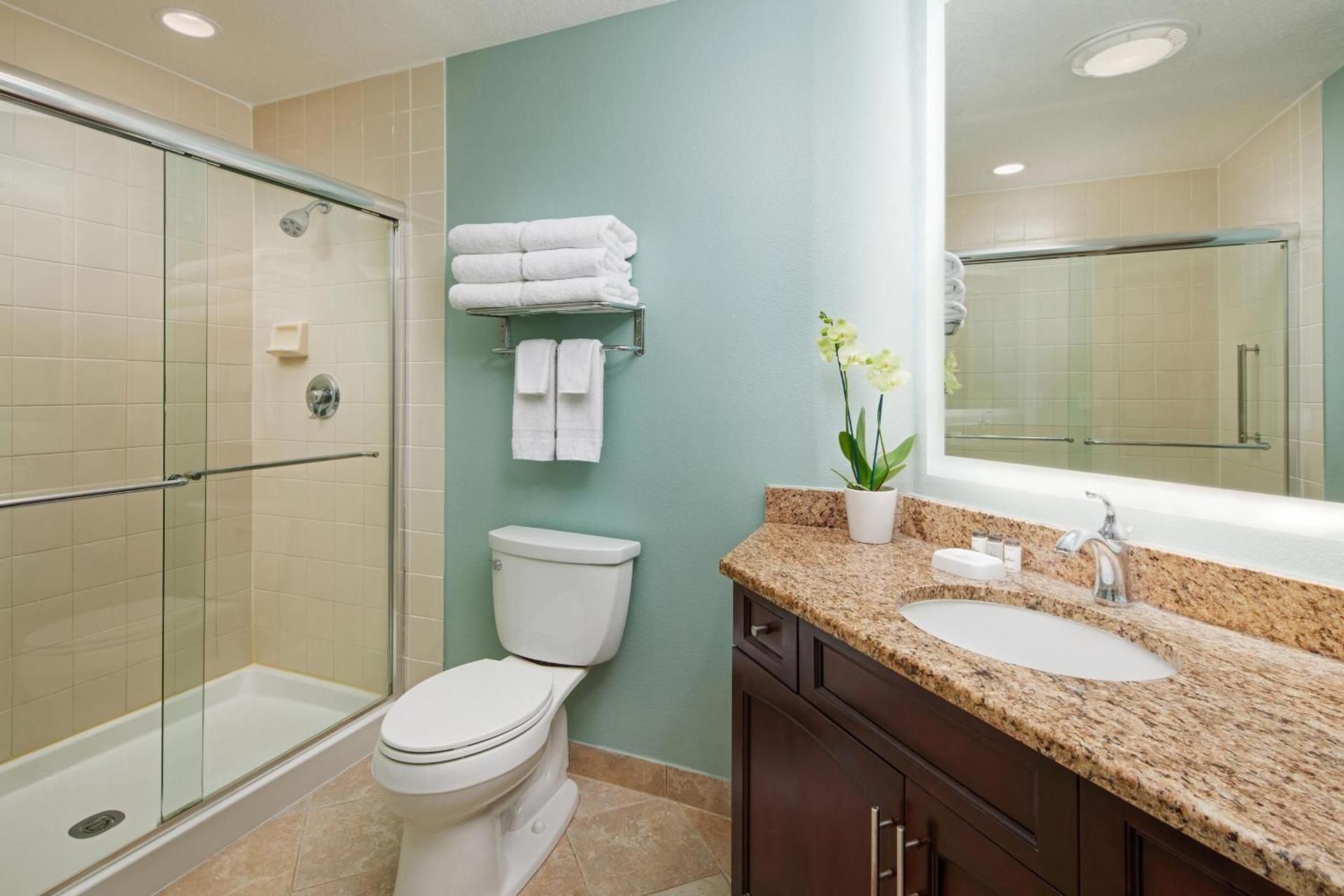 undefined Sheraton Vistana Resort Villas, Lake Buena Vista/Orlando 10