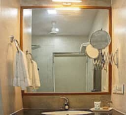 The Raas Mahal Hotel Deluxe Room 3