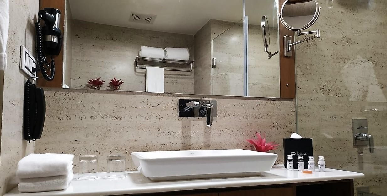 Hotel Delice Executive Room 7