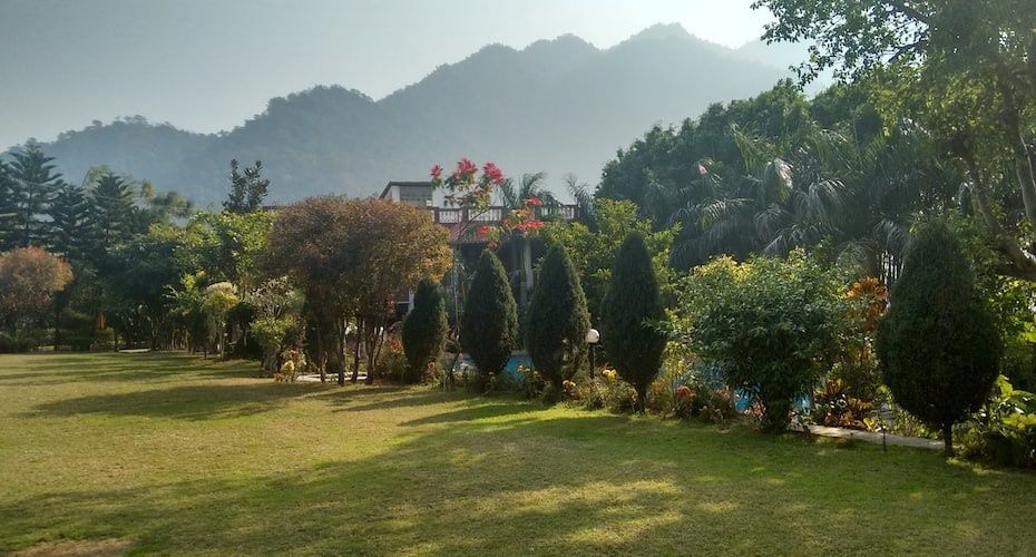 Garden