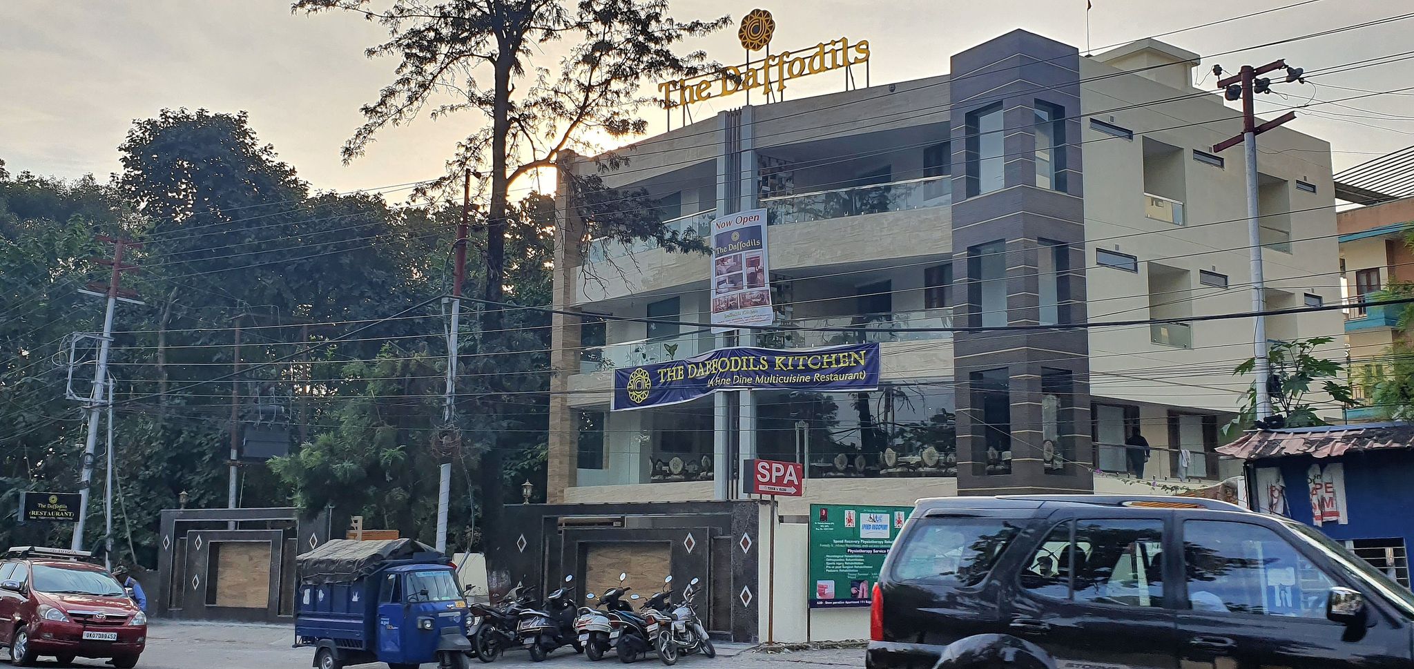 undefined The Daffodils 10