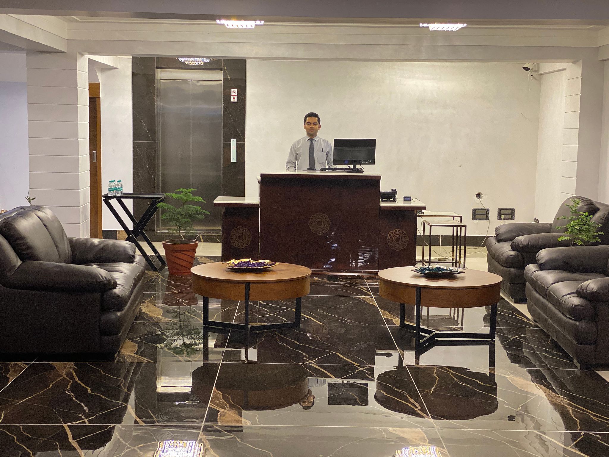 undefined The Daffodils 2